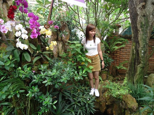  photo DSC00805_zps016f0fe7.jpg