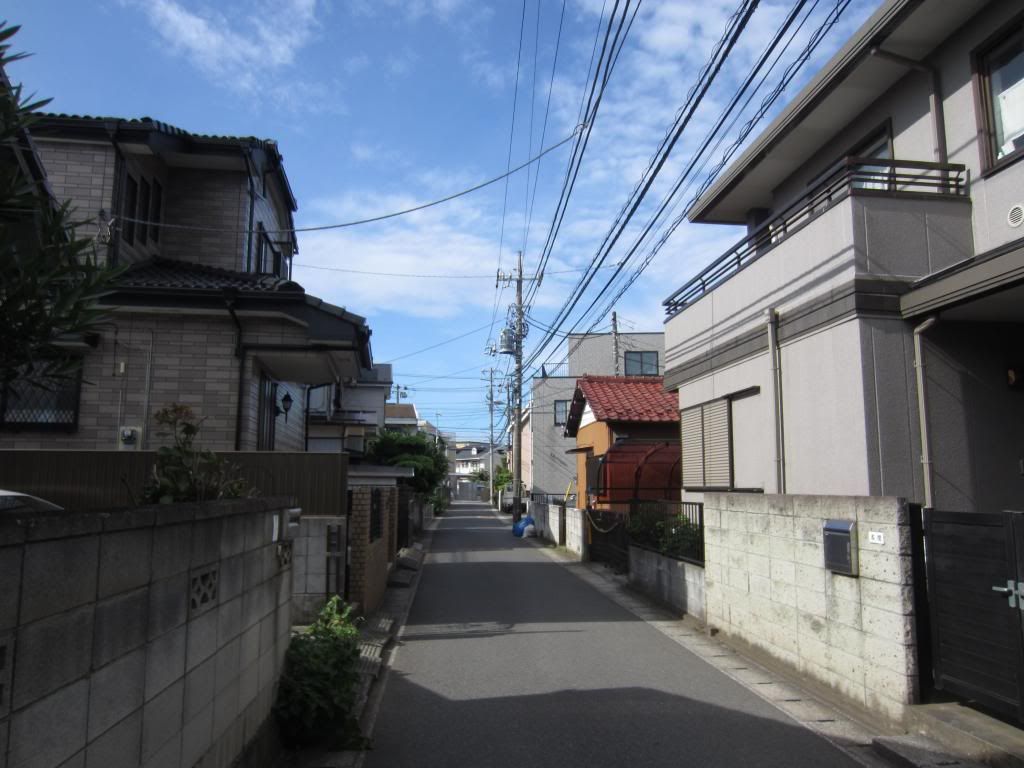 1072_zps4130d414.jpg