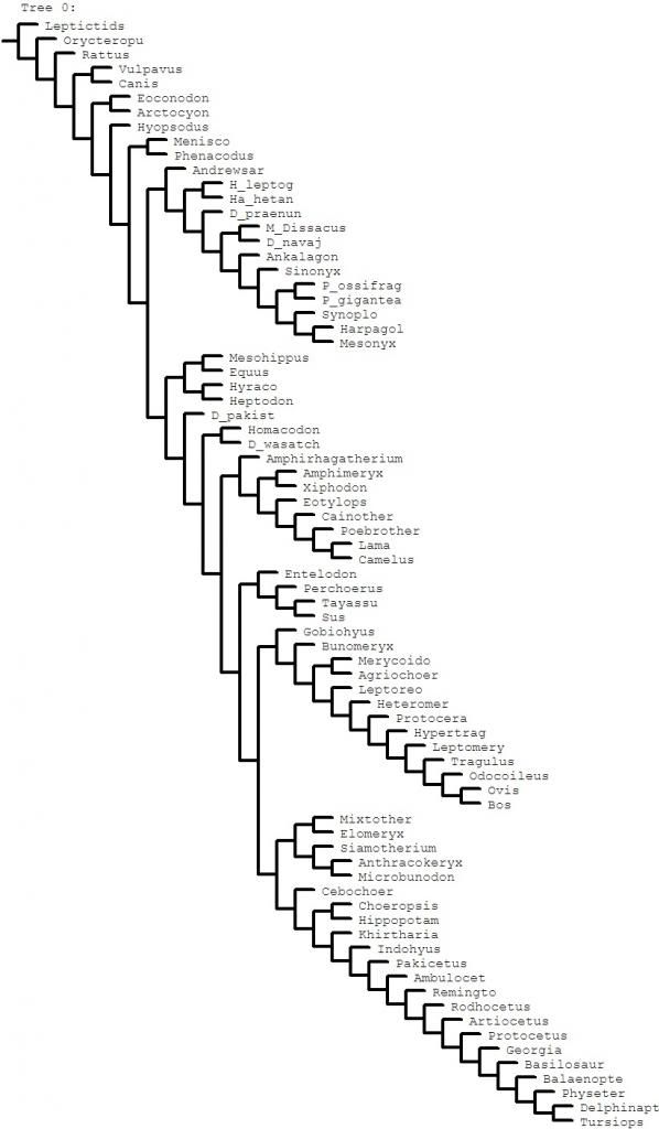 Geisler_Theodor_data-strict_consensus-00