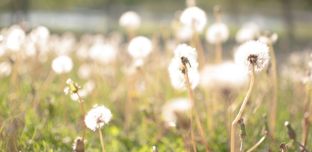 Why I'm Choosing Minimalism