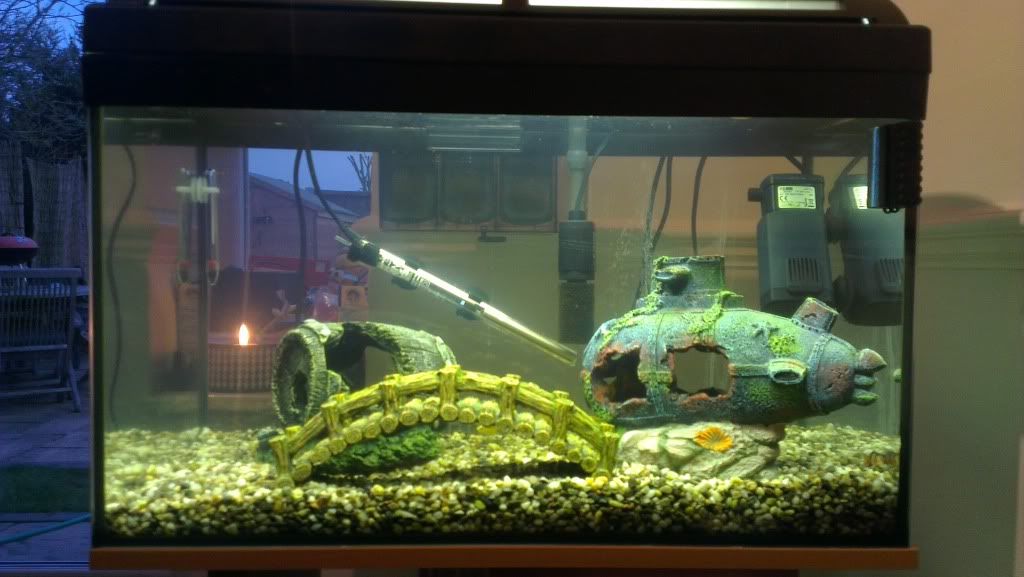 Prime Member with no life - Celtic Heroes