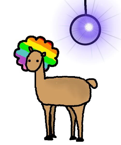 DiscoLlama.jpg