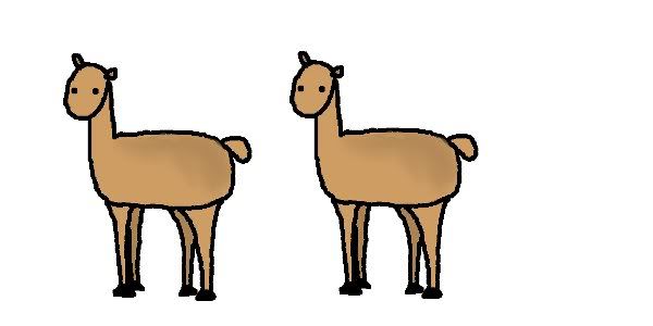 Llama2.jpg