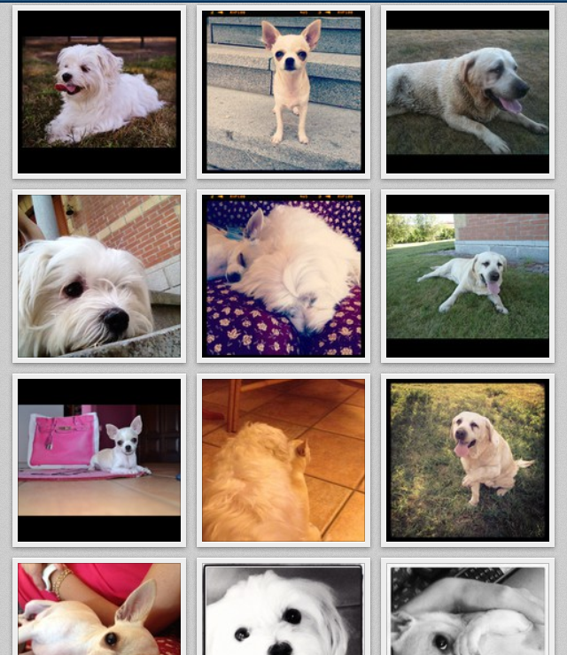 Photobucket
