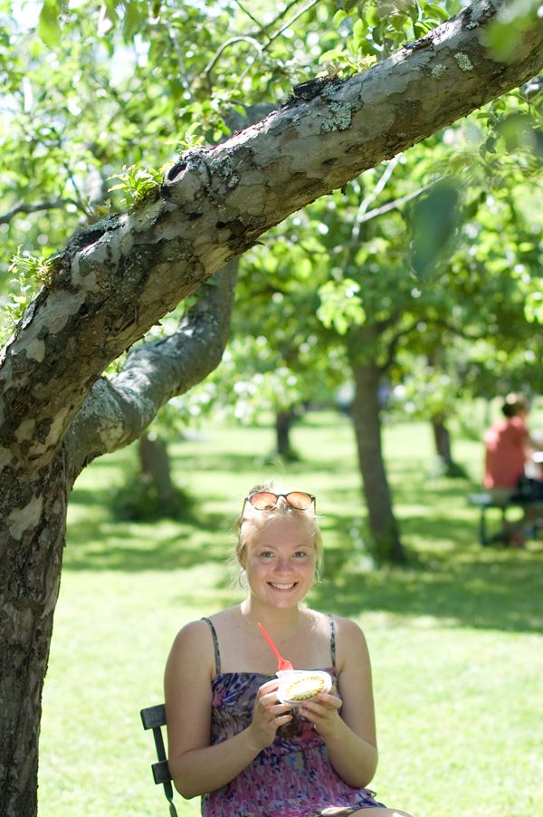  photo DSC_0263-1_zps02e250b3.jpg