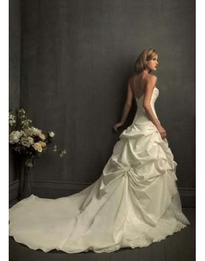 Beige Sweetheart A-Line Taffeta Wedding Dress With Pick Up Skirt-back Pictures, Images and Photos