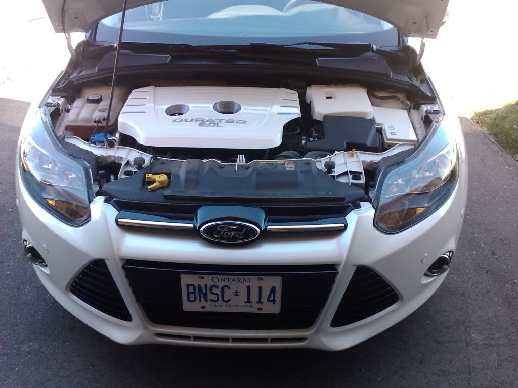 Engine Cover | Page 2 | Focus Fanatics Forum