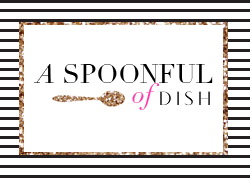 A Spoonful of Dish