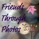 Friends Through Photos